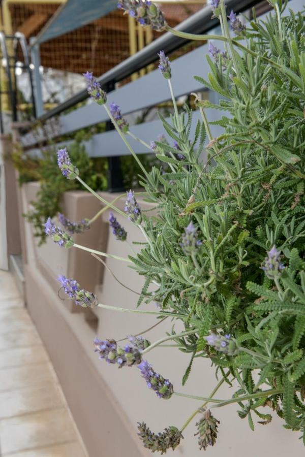 Aromatic Home Kíszamosz Kültér fotó
